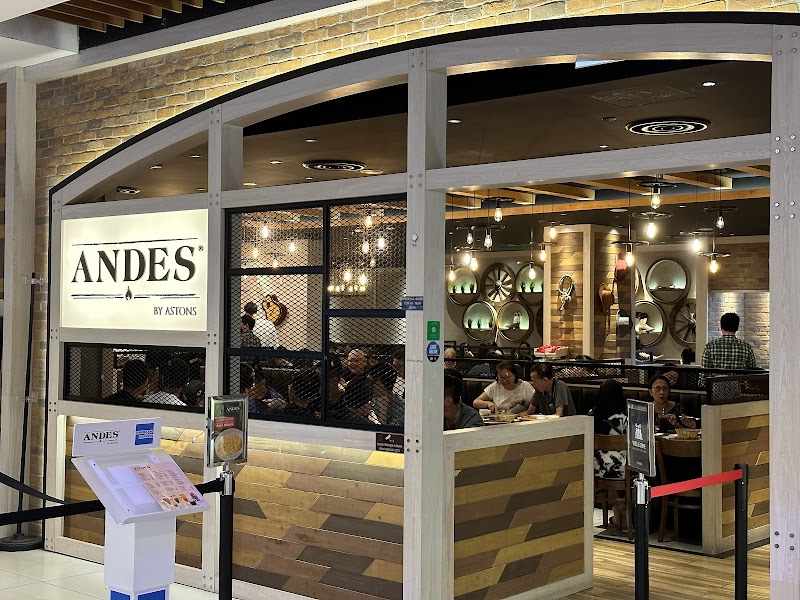 ANDES by Astons hero